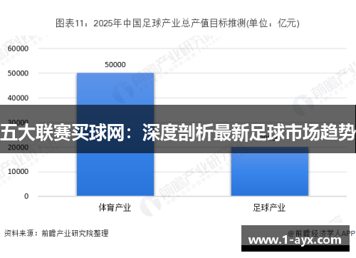 五大联赛买球网：深度剖析最新足球市场趋势